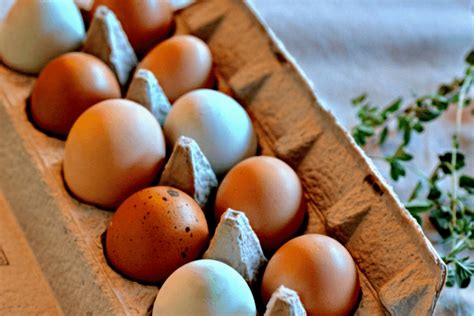 chicken egg abnormalities|21 Types Of Chicken Egg Abnormalities And What They Mean .